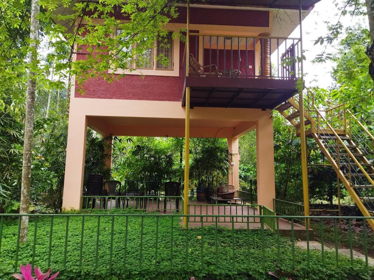 Wayanad Green Park Resort Ambalavayal 외부 사진