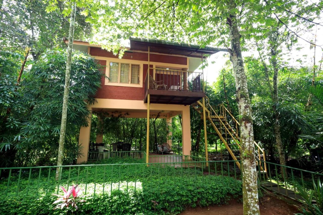 Wayanad Green Park Resort Ambalavayal 외부 사진