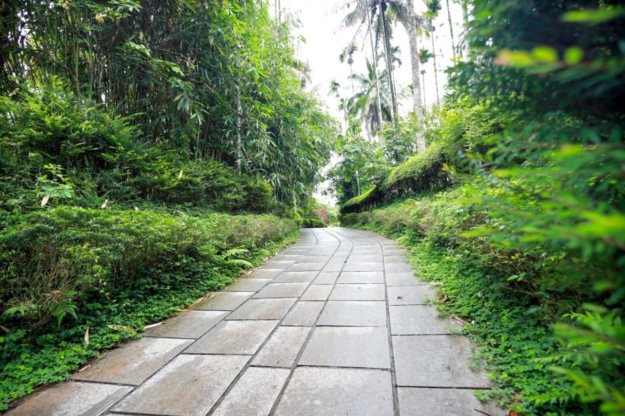 Wayanad Green Park Resort Ambalavayal 외부 사진