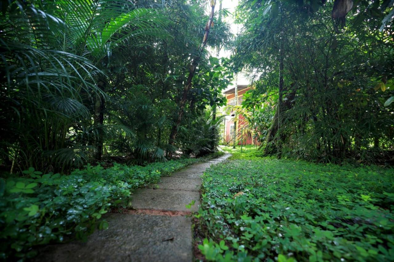 Wayanad Green Park Resort Ambalavayal 외부 사진
