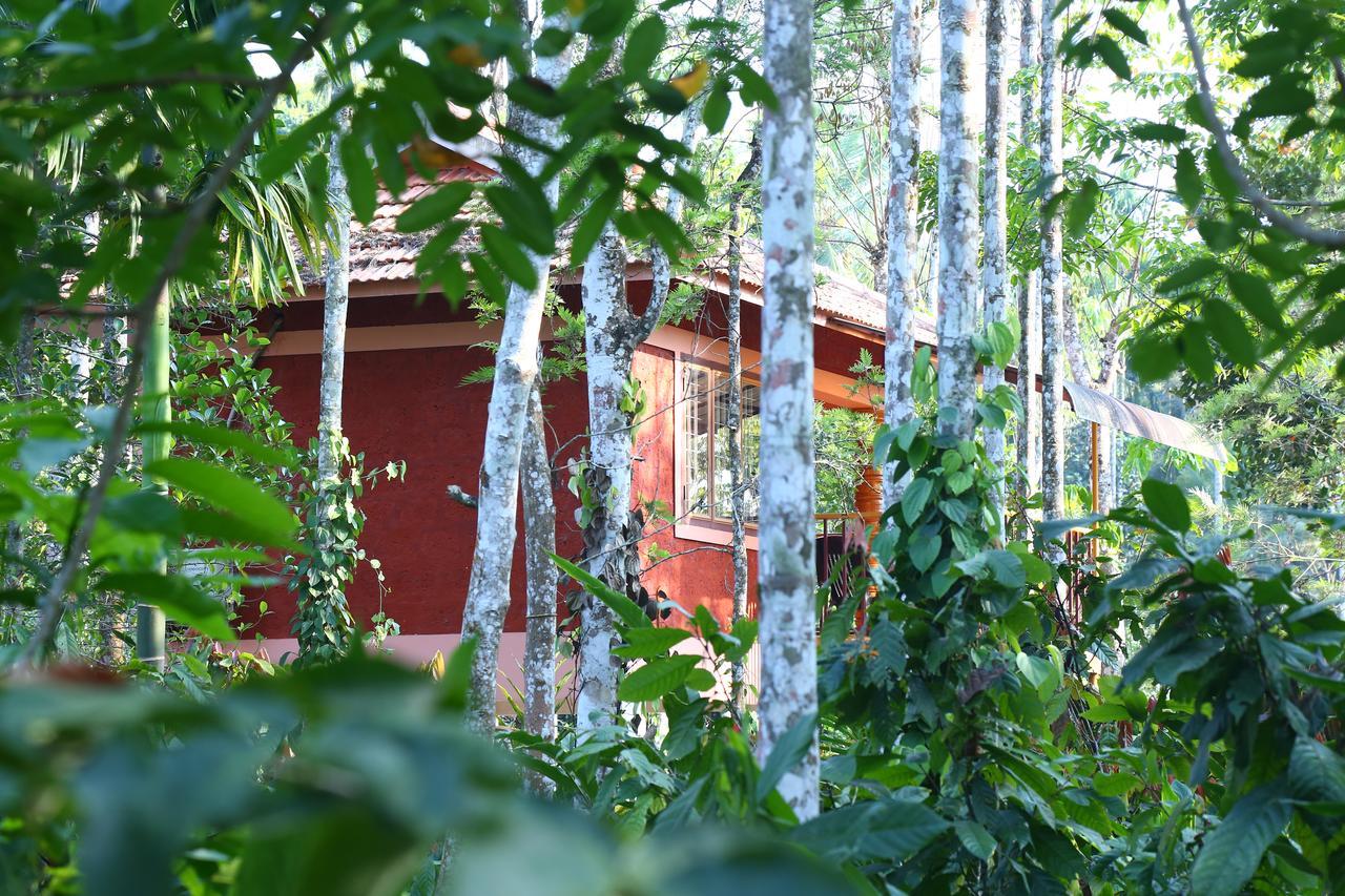 Wayanad Green Park Resort Ambalavayal 외부 사진